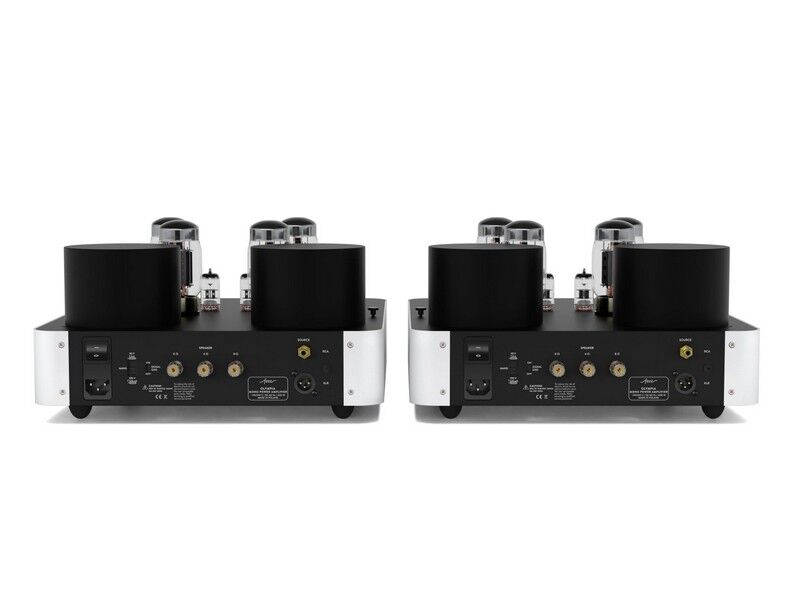 Fezz Olympia Tube (KT88) Mono Power Amplifier Pair Republika - Image 4