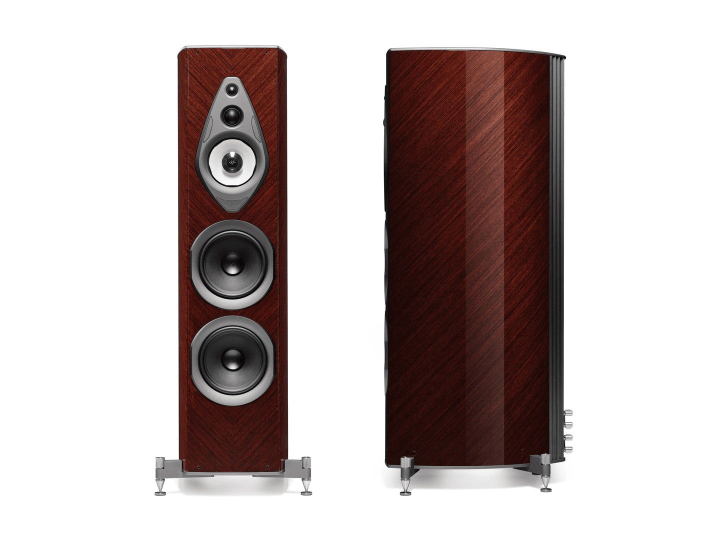 Wenge