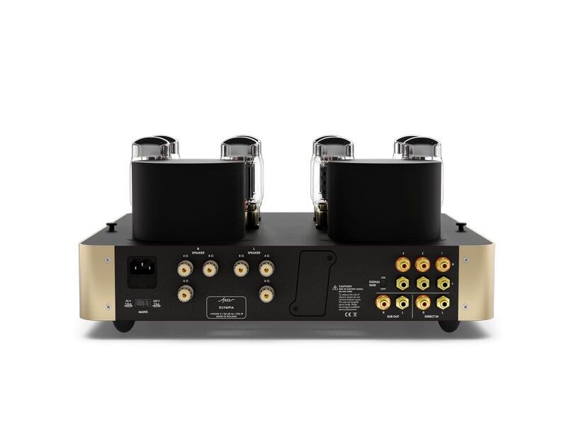 Fezz Olympia Dual Mono Integrated Vacuum Tube Amplifier - Image 26