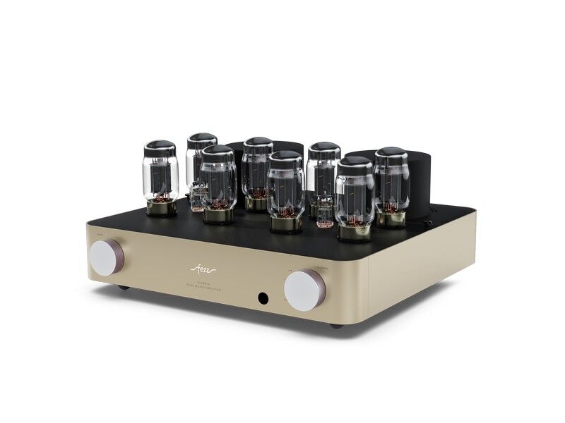 Fezz Olympia Dual Mono Integrated Vacuum Tube Amplifier - Image 24
