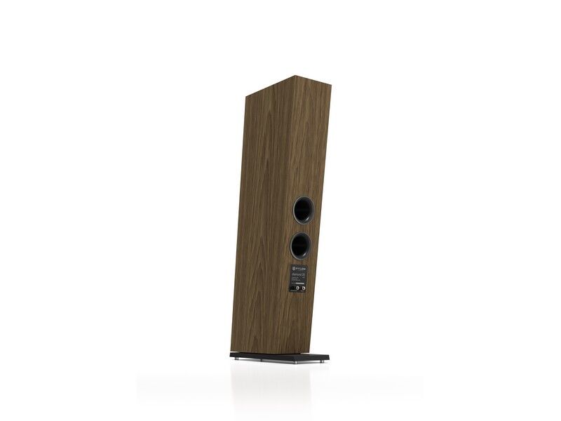 Pylon Audio Diamond 25 MK2 Floorstanding Loudspeaker Pair Natural Veneer Oak Oil-wax Black - Image 2