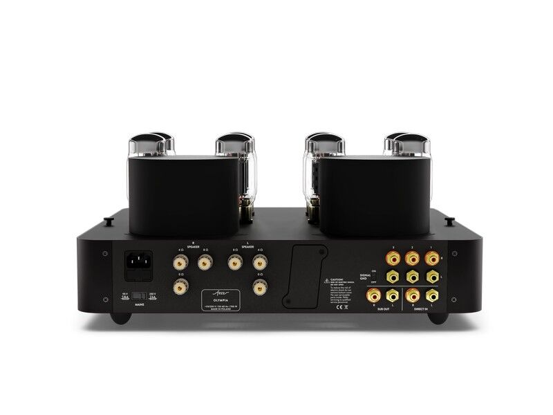 Fezz Olympia Dual Mono Integrated Vacuum Tube Amplifier - Image 8