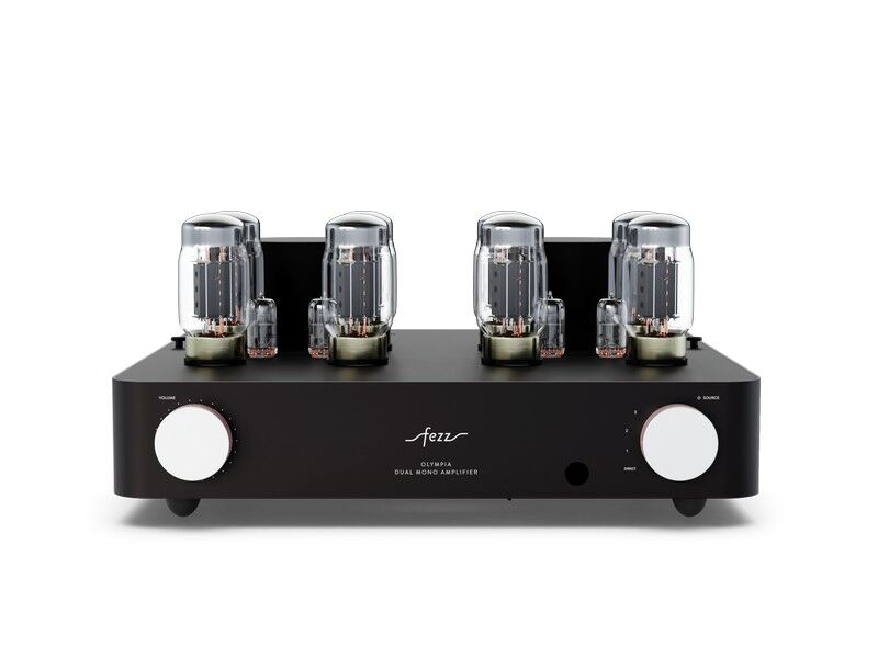Fezz Olympia Dual Mono Integrated Vacuum Tube Amplifier - Image 7