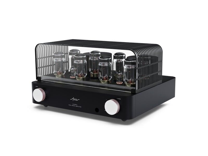 Fezz Olympia Dual Mono Integrated Vacuum Tube Amplifier - Image 6