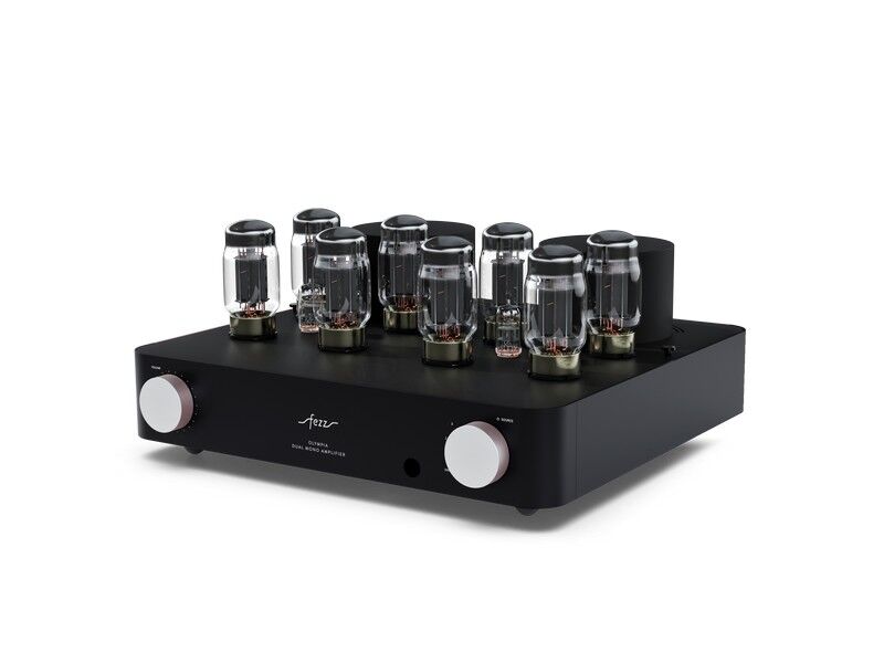 Fezz Olympia Dual Mono Integrated Vacuum Tube Amplifier - Image 5