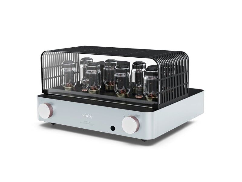 Fezz Olympia Dual Mono Integrated Vacuum Tube Amplifier - Image 18