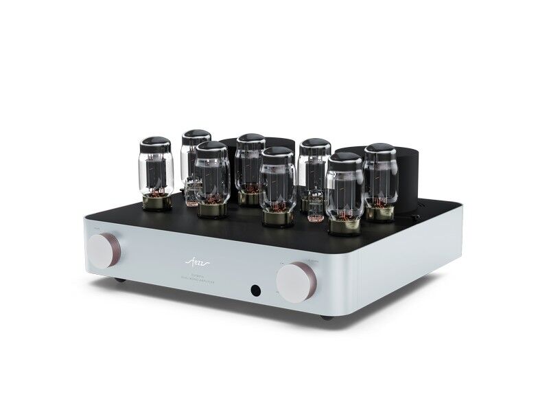 Fezz Olympia Dual Mono Integrated Vacuum Tube Amplifier - Image 17