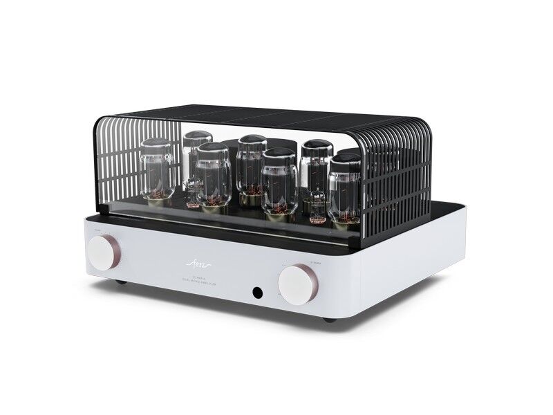 Fezz Olympia Dual Mono Integrated Vacuum Tube Amplifier - Image 22