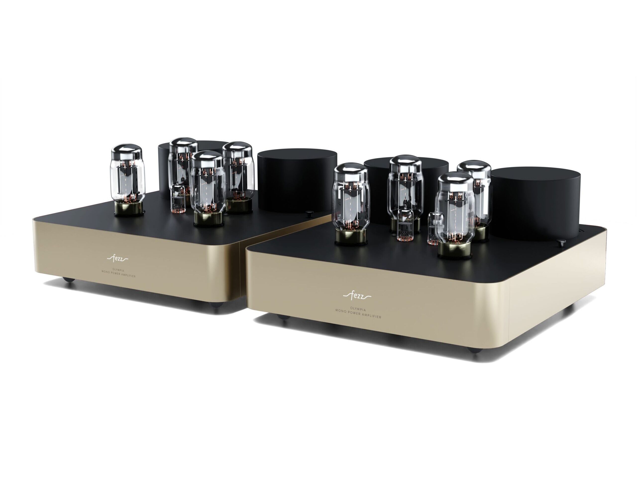Fezz Olympia Tube (KT88) Mono Power Amplifier Pair - Image 25