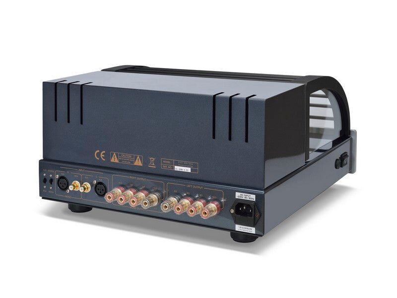 PrimaLuna EVO 300 Tube Power Amplifier (EL34) Silver - Image 9